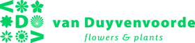 Van Duyvenoorde