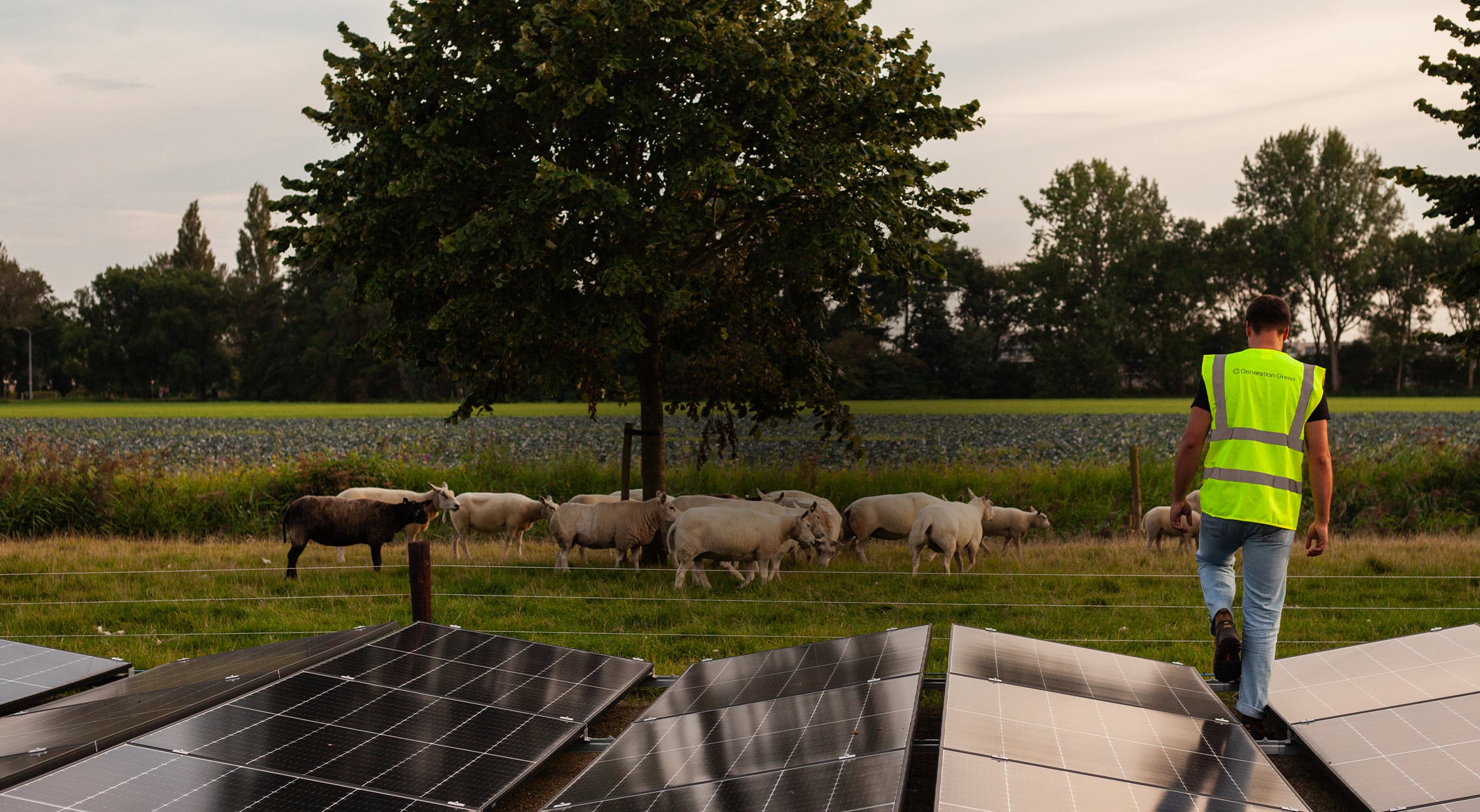 contact-us-for-more-information-generation-green
