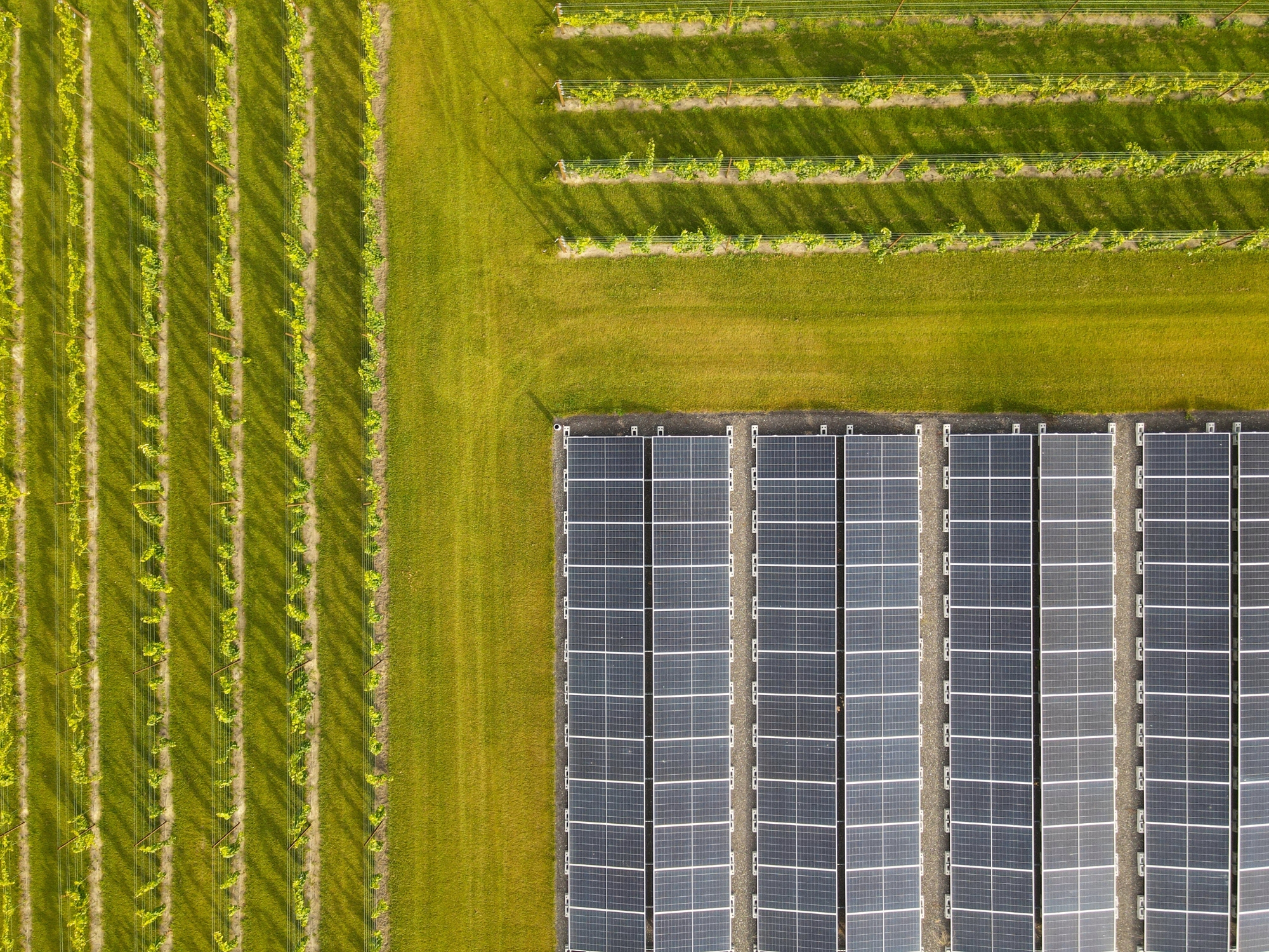 Zonnepaneleninstallatie Van Gog