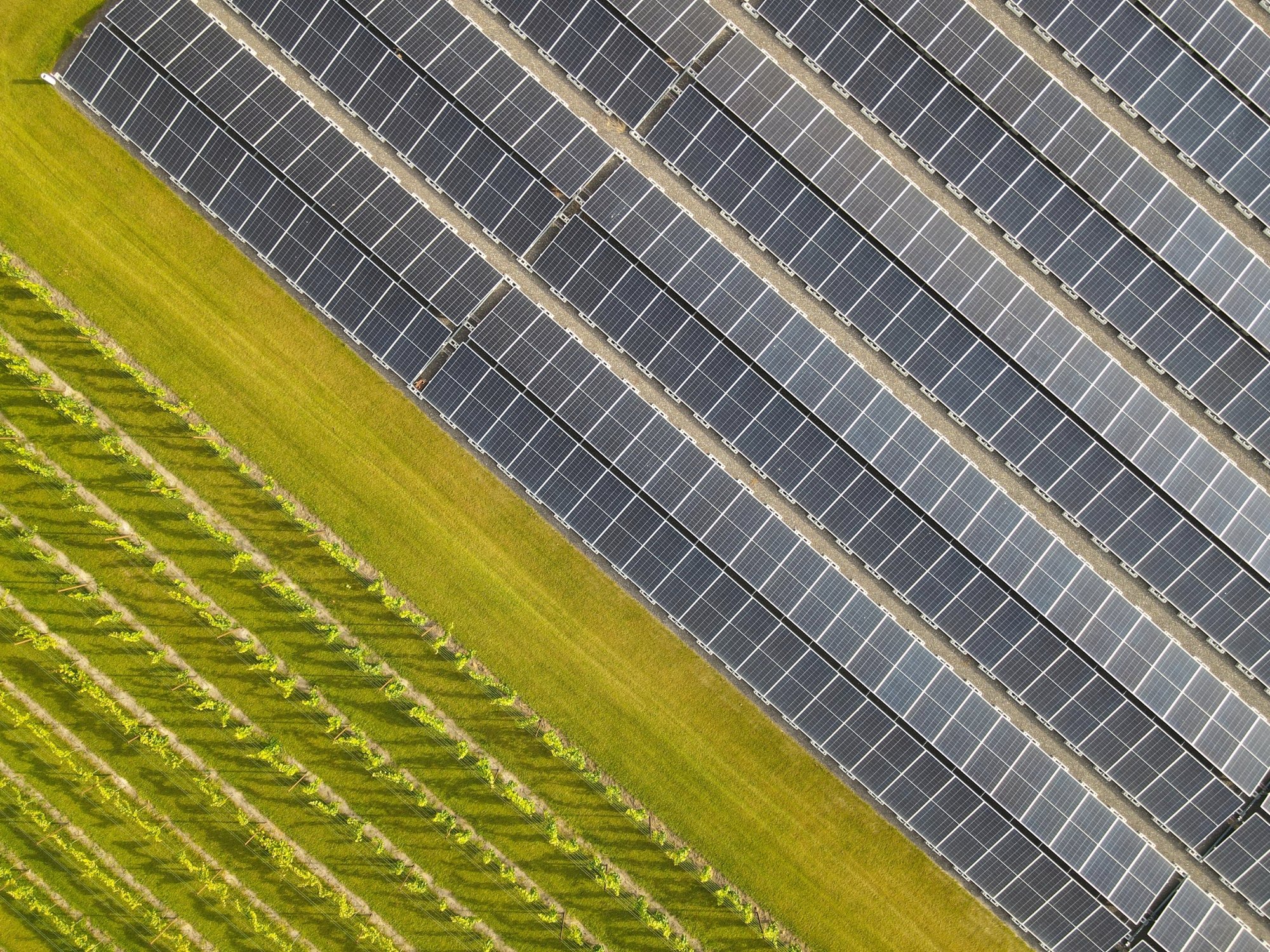 Zonnepaneleninstallatie Van Gog